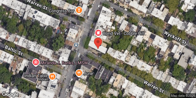 Aerial map of 221 COURT STREET, Brooklyn