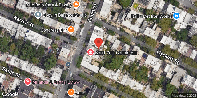 Aerial map of 213 COURT STREET, Brooklyn