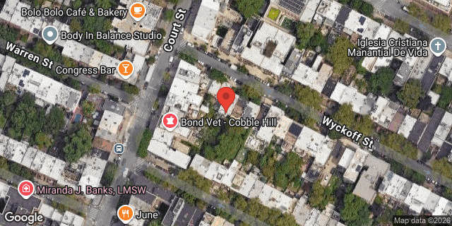 Aerial map of 14 WYCKOFF STREET, Brooklyn