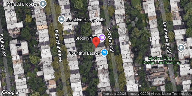 Aerial map of 42 SOUTH OXFORD STREET, Brooklyn