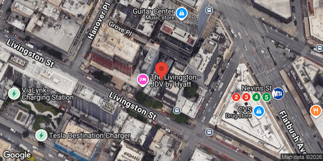 Aerial map of 295 LIVINGSTON STREET, Brooklyn