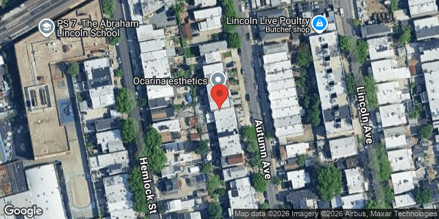 Aerial map of 46 AUTUMN AVENUE, Brooklyn