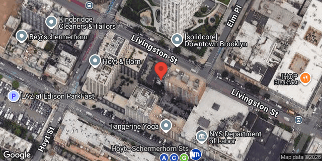 Aerial map of 226 LIVINGSTON STREET, Brooklyn