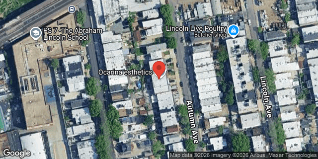 Aerial map of 42 AUTUMN AVENUE, Brooklyn