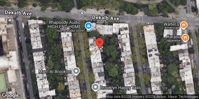 Aerial map of 11A SOUTH PORTLAND AVE, Brooklyn