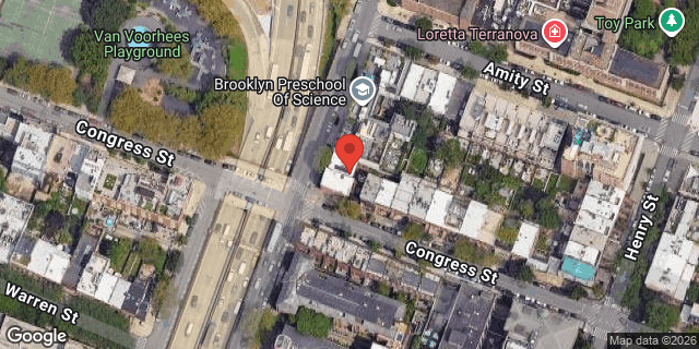 Aerial map of 391 HICKS STREET, Brooklyn