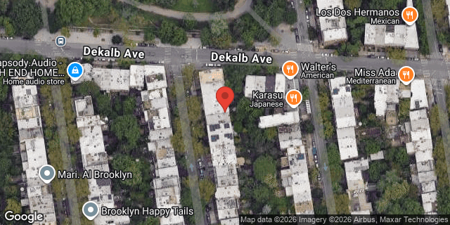 Aerial map of 9 SOUTH OXFORD STREET, Brooklyn