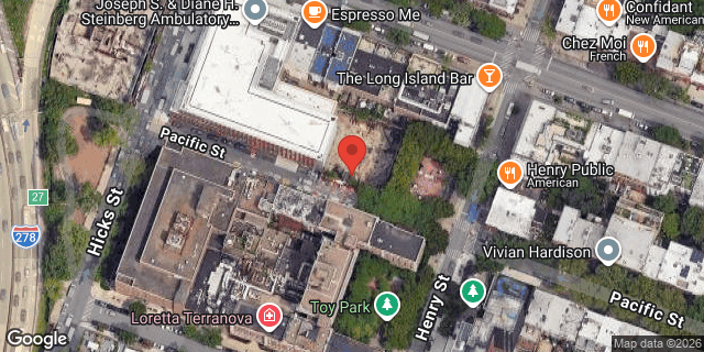 Aerial map of 355 HICKS STREET, Brooklyn
