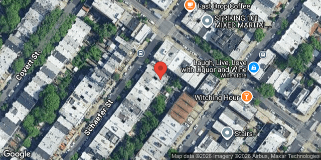 Aerial map of 250 SCHAEFER STREET, Brooklyn