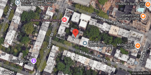 Aerial map of 11 SCHERMERHORN STREET, Brooklyn