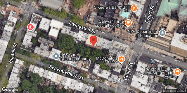 Aerial map of 54 LIVINGSTON STREET, Brooklyn