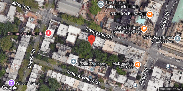 Aerial map of 48 LIVINGSTON STREET, Brooklyn