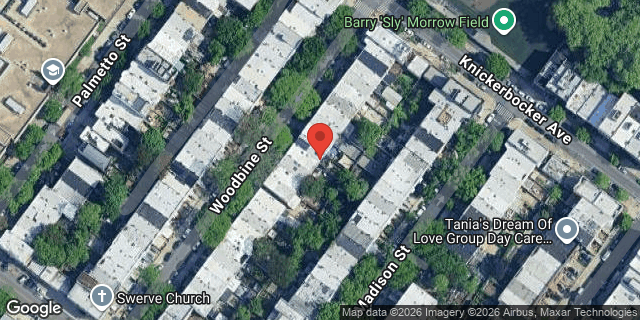 Aerial map of 260 WOODBINE STREET, Brooklyn
