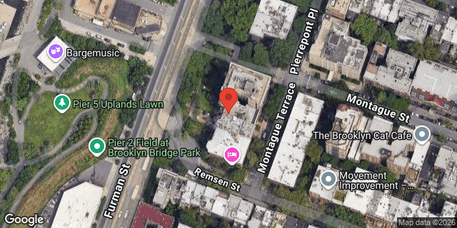 Aerial map of 6 MONTAGUE TERRACE, Brooklyn