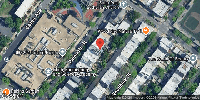 Aerial map of 256 PALMETTO STREET, Brooklyn