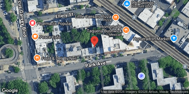 Aerial map of 877 PARK AVENUE, Brooklyn
