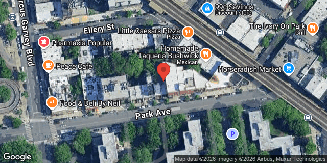 Aerial map of 881 PARK AVENUE, Brooklyn