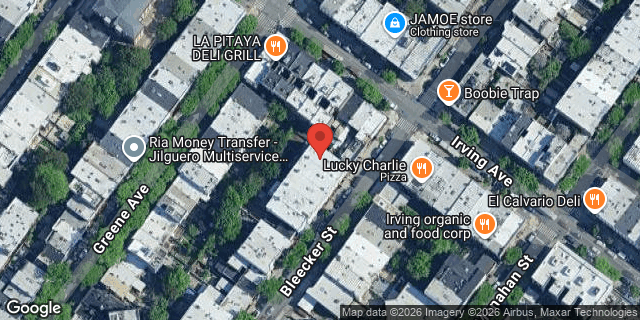 Aerial map of 289 BLEECKER STREET, Brooklyn