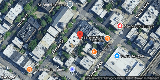 Aerial map of 410 LINDEN STREET, Brooklyn