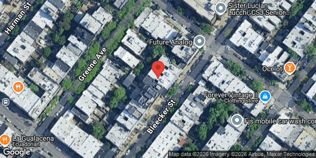 Aerial map of 395 BLEECKER STREET, Brooklyn