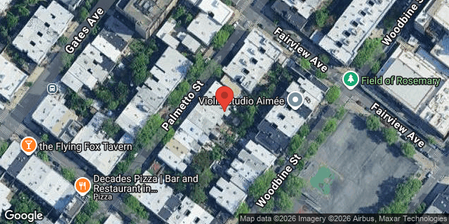 Aerial map of 1924 PALMETTO STREET, Queens