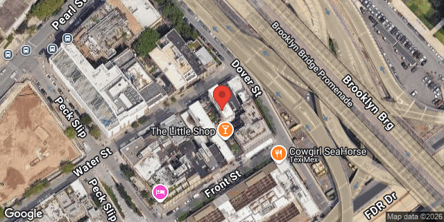 Aerial map of 275 WATER STREET, Manhattan