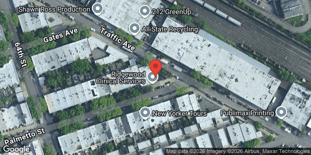 Aerial map of 64-33 PALMETTO STREET, Queens