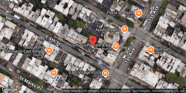Aerial map of 341 EAST 9 STREET, Manhattan