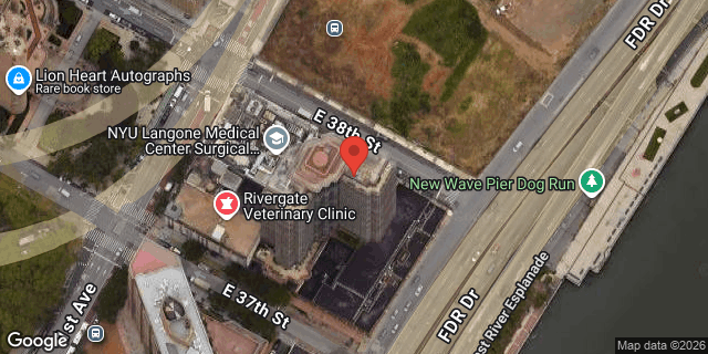 Aerial map of 410 EAST 38 STREET, Manhattan