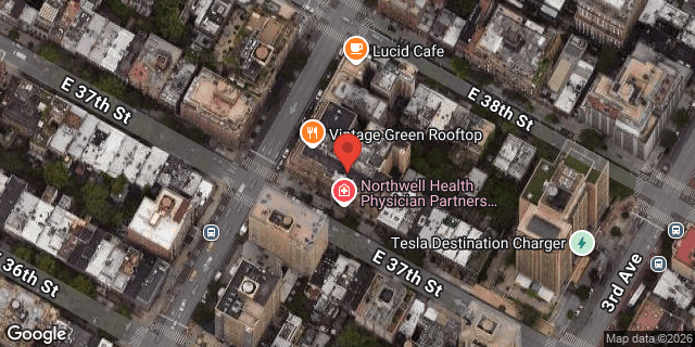 Aerial map of 303 LEXINGTON AVENUE, Manhattan