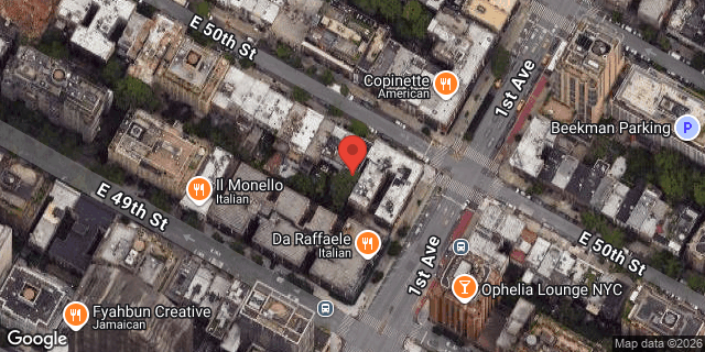 Aerial map of 356 EAST 50 STREET, Manhattan