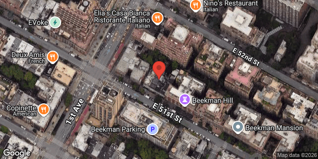 Aerial map of 411 EAST 51 STREET, Manhattan