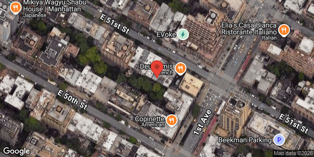 Aerial map of 350 EAST 51 STREET, Manhattan