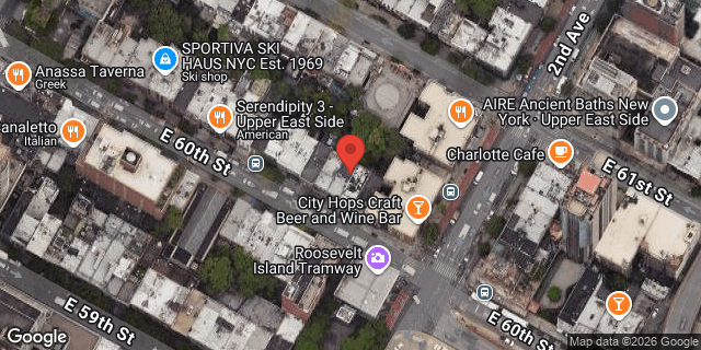Aerial map of 243 EAST 60 STREET, Manhattan