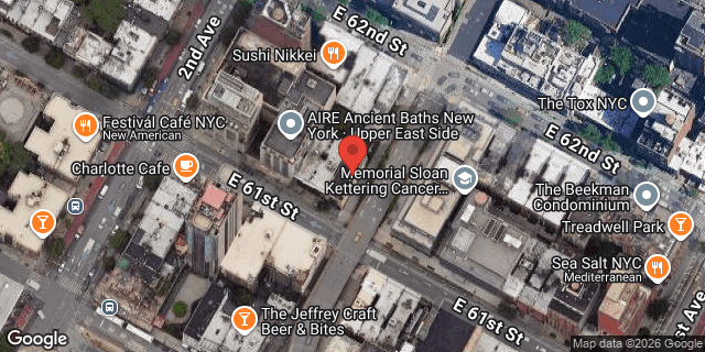 Aerial map of 313 EAST 61 STREET, Manhattan