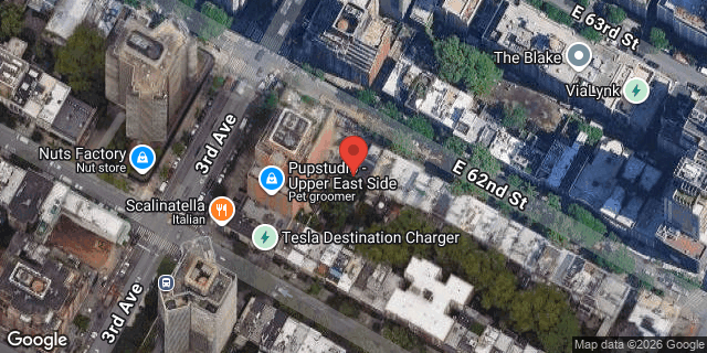 Aerial map of 208 EAST 62 STREET, Manhattan