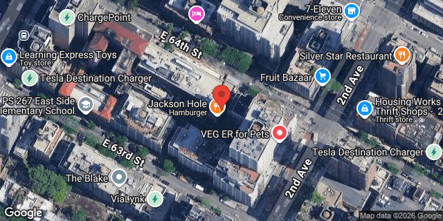 Aerial map of 232 EAST 64 STREET, Manhattan
