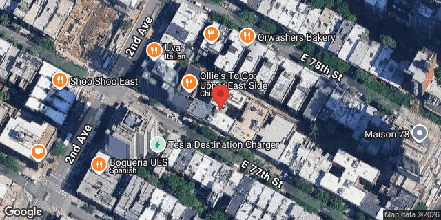 Aerial map of 315 EAST 77 STREET, Manhattan