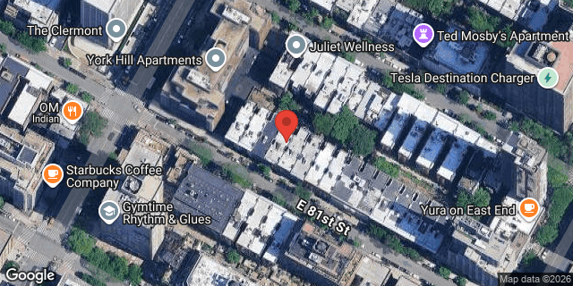 Aerial map of 513 EAST 81 STREET, Manhattan
