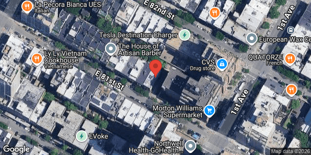Aerial map of 343 EAST 81 STREET, Manhattan