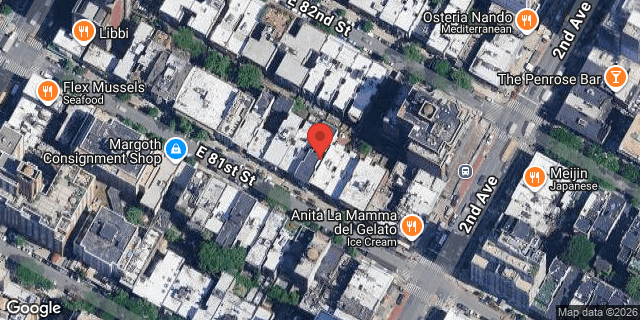 Aerial map of 235 EAST 81 STREET, Manhattan