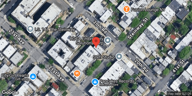 Aerial map of 20-60 STEINWAY STREET, Queens