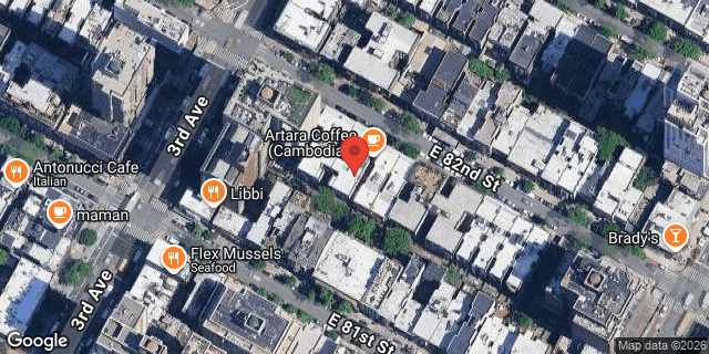 Aerial map of 214 EAST 82 STREET, Manhattan