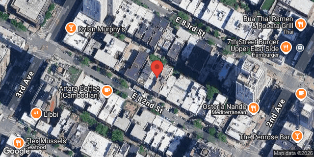 Aerial map of 223 EAST 82 STREET, Manhattan