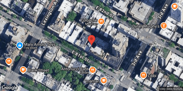 Aerial map of 161 EAST 81 STREET, Manhattan