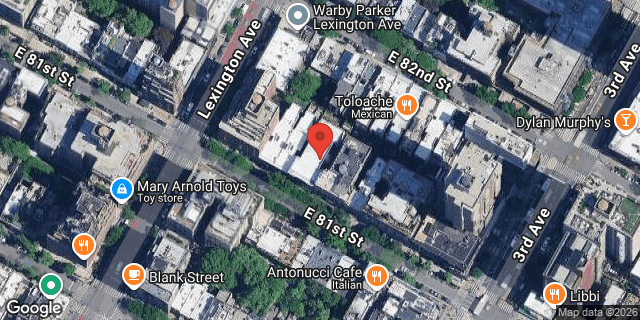 Aerial map of 151 EAST 81 STREET, Manhattan