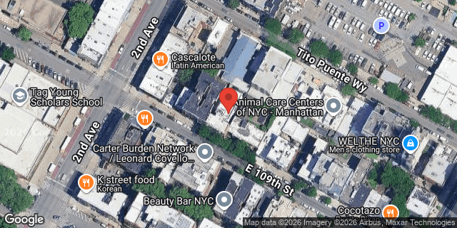 Aerial map of 311 EAST 109 STREET, Manhattan