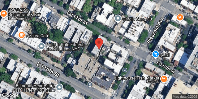 Aerial map of 446 EAST 117 STREET, Manhattan