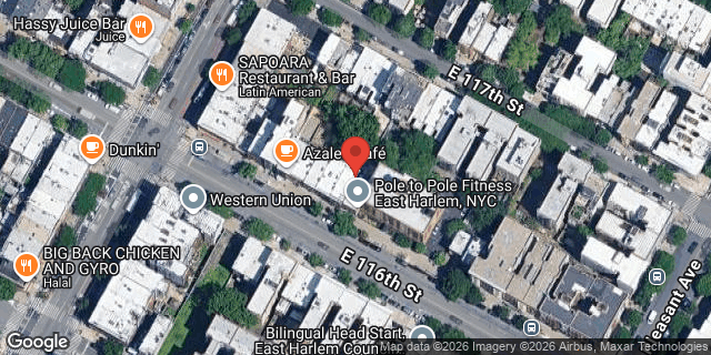 Aerial map of 417 EAST 116 STREET, Manhattan