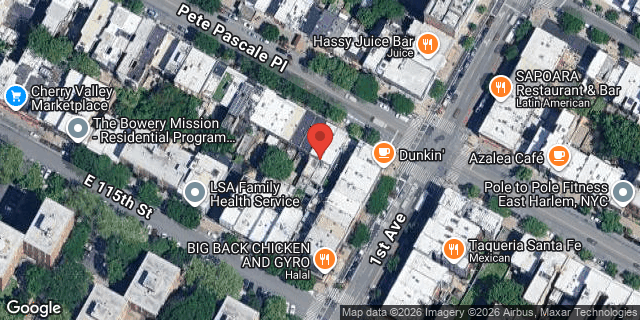 Aerial map of 354 EAST 116 STREET, Manhattan